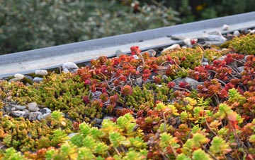 the cost of Alfreds Well green roof installation