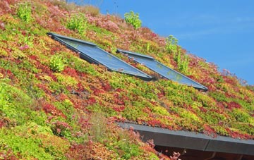 Alfreds Well living roof systems
